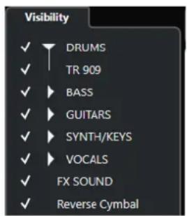 STEINBERG Cubase AI 10 - Visibilité dans la MixConsole - 1