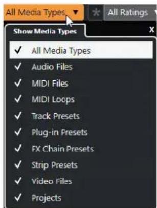 STEINBERG Cubase AI 10 - Sélecteur Afficher types de média - 1