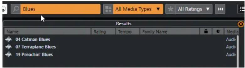 STEINBERG Cubase AI 10 - Lancer une recherche textuelle - 1