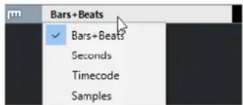STEINBERG Cubase AI 10 - Commandes de la piste Règle - 1