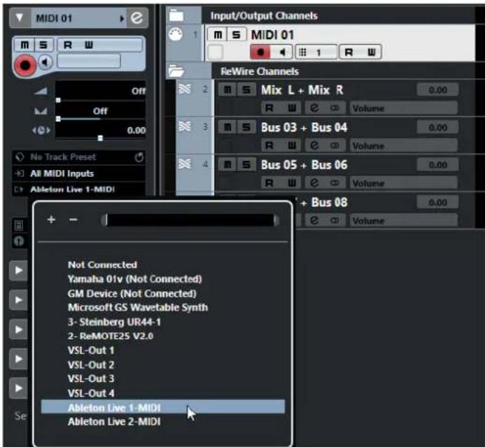 STEINBERG Cubase AI 10 - Routage MIDI via ReWire - 1