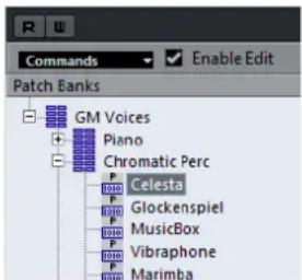STEINBERG Cubase AI 10 - RÉSULTAT - 1