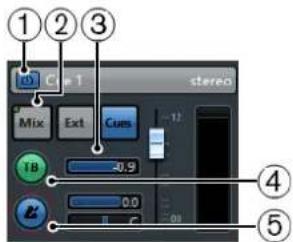 STEINBERG Cubase Pro 11 - Voie Cue - 1