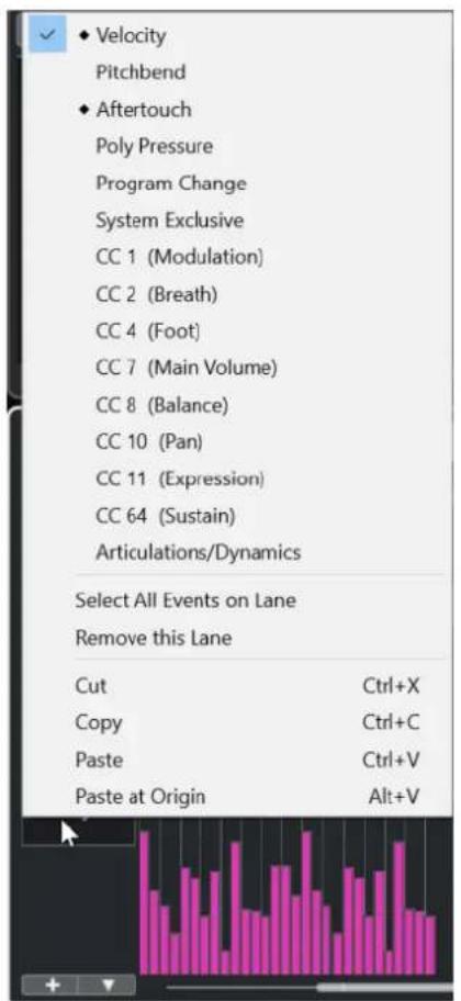 STEINBERG Cubase Pro 11 - PROCEDARANSI - 1