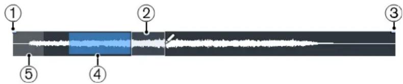 STEINBERG Cubase Pro 11 - Barre d'aperçu - 1