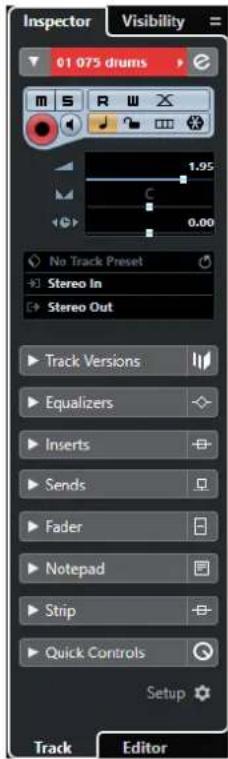 STEINBERG Cubase Pro 11 - PROCEDARINSI - 1