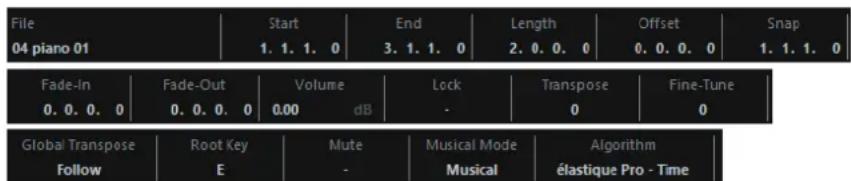 STEINBERG Cubase Pro 11 - Ligne d'infos - 1