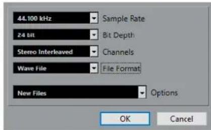 STEINBERG Cubase Pro 11 - Boite de dialogue Options de conversion - 1