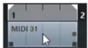 STEINBERG Cubase Pro 11 - Conteneurs MIDI - 1