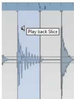 STEINBERG Cubase Pro 11 - PROCEDARANSI - 2