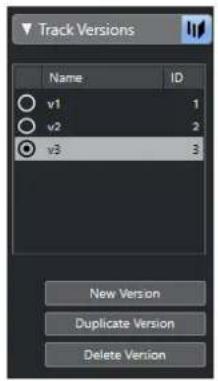 STEINBERG Cubase Pro 11 - Indiquer le nom de la version dans la liste des pistes - 1