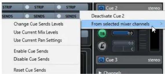 STEINBERG Cubase Pro 11 - PROCEDARINSI - 1