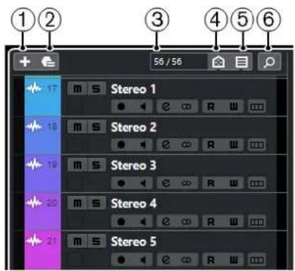 STEINBERG Cubase Pro 11 - Contrôles de piste globaux - 1