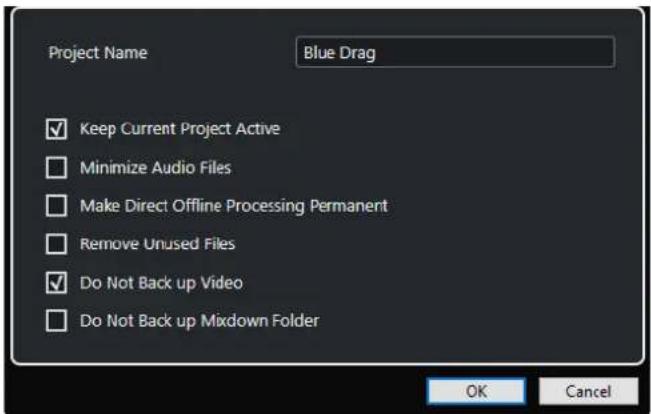 STEINBERG Cubase Pro 11 - Boite de dialogue Options de copie de sauvegarde - 1