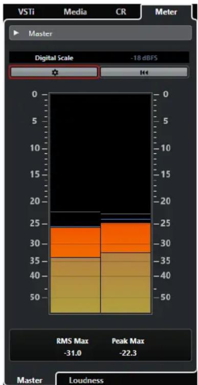 STEINBERG Cubase Pro 11 - PROCEDARANSI - 1