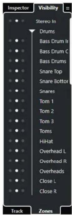 STEINBERG Cubase Pro 11 - PROCEDARANSI - 1