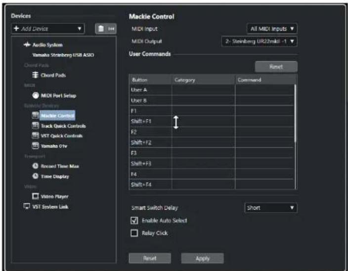STEINBERG Cubase Pro 11 - A NOTER - 1