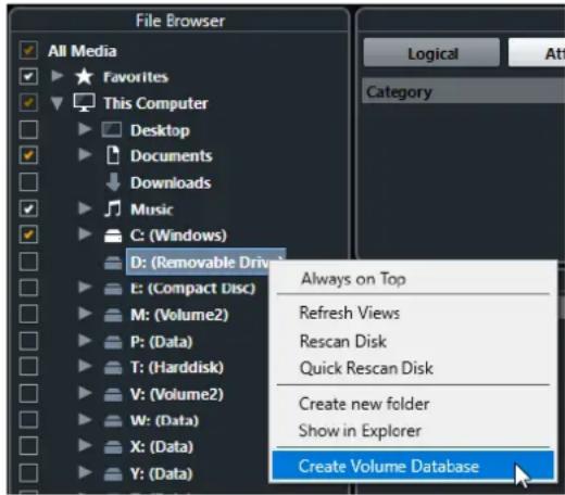 STEINBERG Cubase Pro 11 - PROCEDARANSI - 1