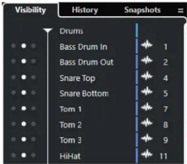 STEINBERG Cubase Pro 11 - Visibilité dans la MixConsole - 1