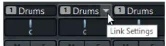 STEINBERG Cubase Pro 11 - Ligne d'affichage - 1
