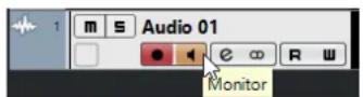 STEINBERG Cubase Pro 11 - PROCEDARINSI - 1