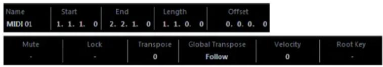STEINBERG Cubase Pro 11 - Ligne d'infos - 1