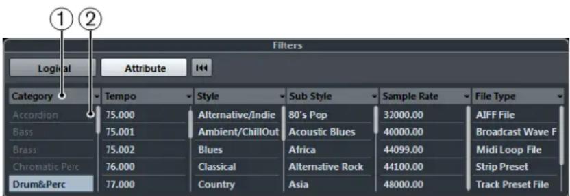 STEINBERG Cubase Pro 11 - Filtred'attributes - 1