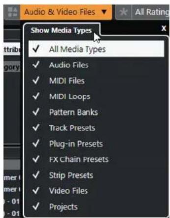 STEINBERG Cubase Pro 11 - Sélecteur Afficher types de média - 1