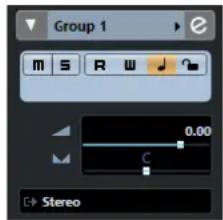 STEINBERG Cubase Pro 11 - Inspecteur des pistes de voie de Groupe - 1