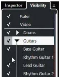 STEINBERG Cubase Pro 11 - Afficher/Masquer des pistes individuelles - 1