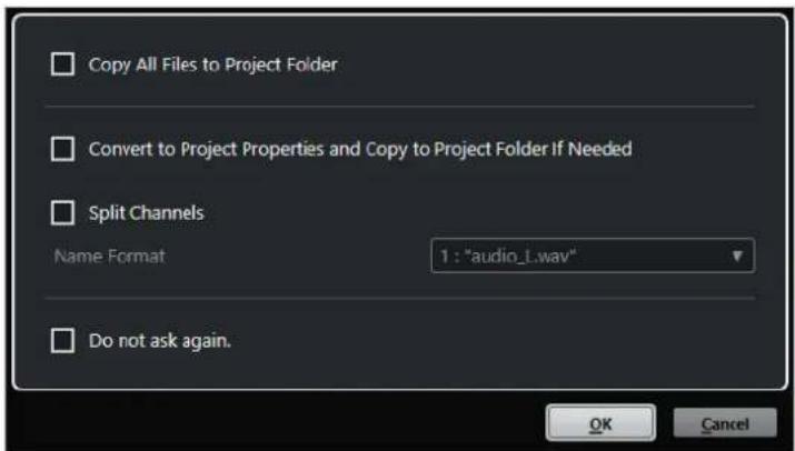 STEINBERG Cubase Pro 11 - Boîte de dialogue Options d'import - 2