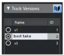 STEINBERG Cubase Pro 11 - PROCEDARANSI - 1