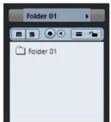 STEINBERG Cubase Pro 11 - Inspecteur des pistes Répertoire - 1
