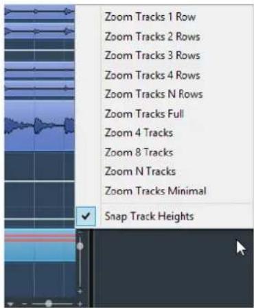 STEINBERG Cubase Pro 11 - Menu Zoom des pistes - 1