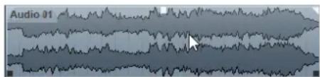 STEINBERG Cubase Pro 11 - PROCEDARANSI - 1