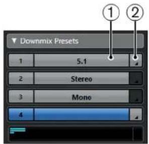 STEINBERG Cubase Pro 11 - Prérogages Downmix - 1