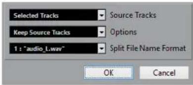 STEINBERG Cubase Pro 11 - Boîte de dialogue Séparer multicanaux en mono - 1