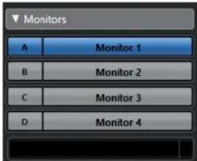 STEINBERG Cubase Pro 11 - Moniteurs - 1