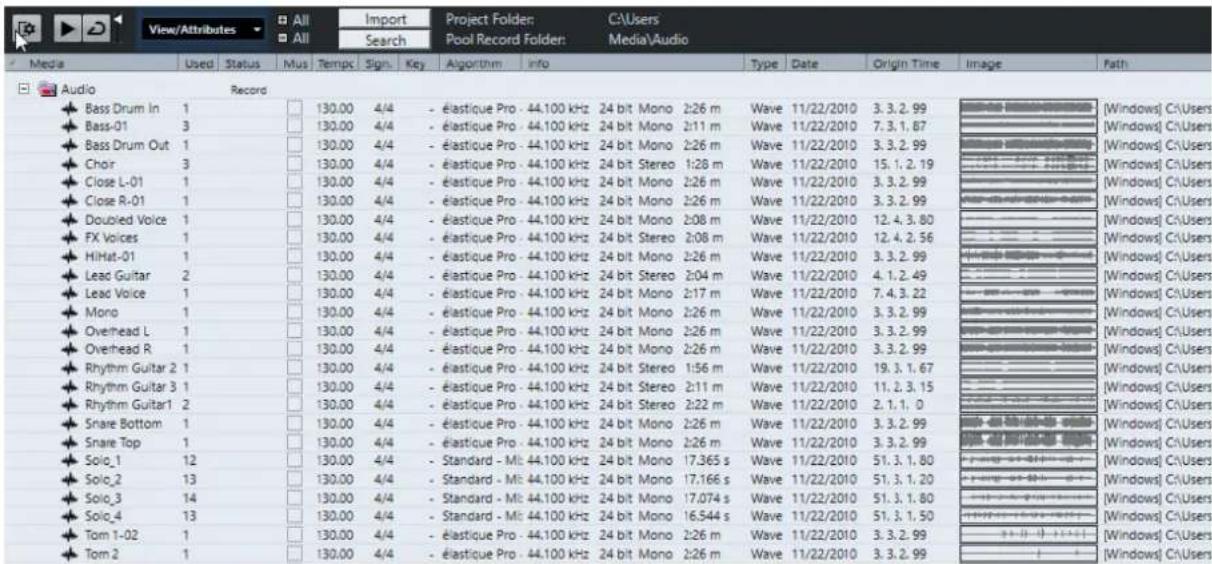 STEINBERG Cubase Pro 11 - Fenêtre Bibliothèque - 1