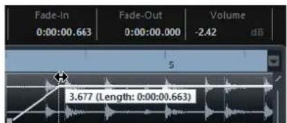 STEINBERG Cubase Pro 11 - ÄNOTER - 1