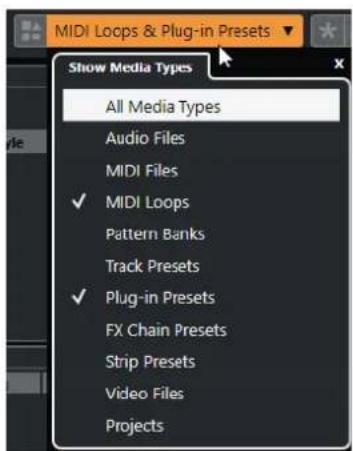 STEINBERG Cubase Pro 11 - PROCEDARANSI - 1