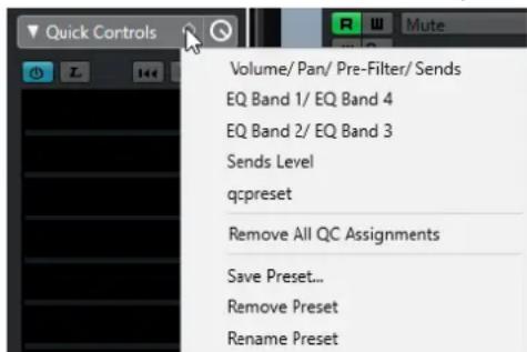 STEINBERG Cubase Pro 11 - PROCEDARINSI - 1