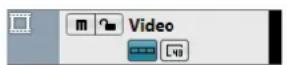 STEINBERG Cubase Pro 11 - Commandes des pistes Video - 1