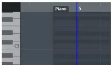 STEINBERG Cubase Pro 11 - PROCEDARANSI - 1