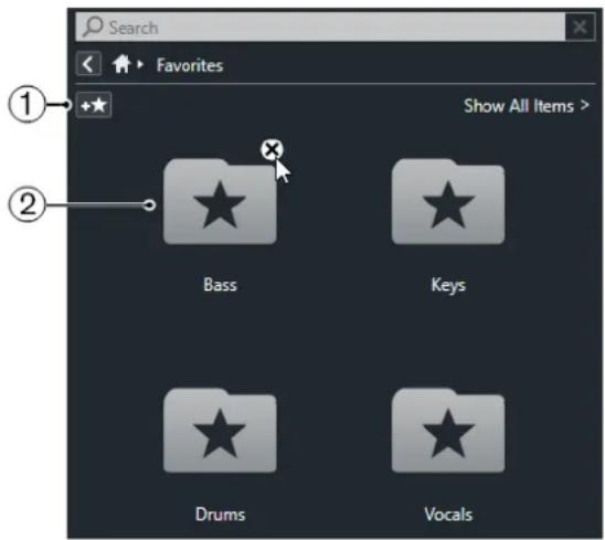 STEINBERG Cubase Pro 11 - Page Favoris - 1