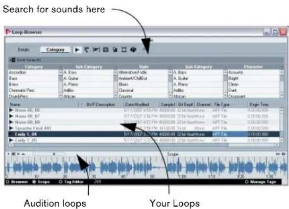 STEINBERG Nuendo 4 - Adding loops - 1