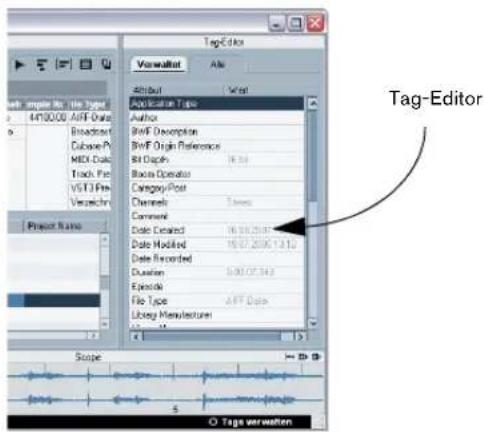 STEINBERG Nuendo 4 - Zeigen Sie den Tag-Editor an. - 1