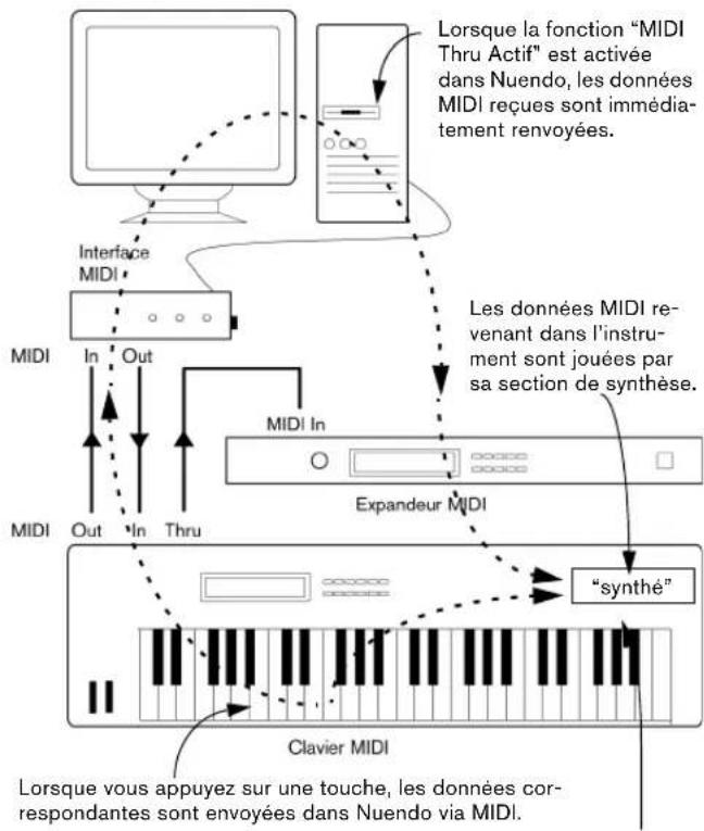 STEINBERG Nuendo 4 - Configuration des fonctions MIDI Thru et Local On/Off - 1