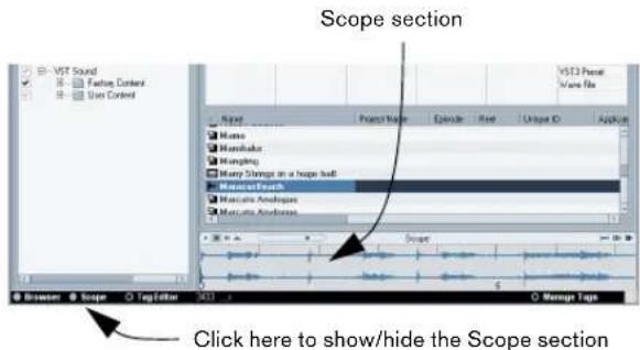STEINBERG Nuendo 4 - Show the Scope section. - 1
