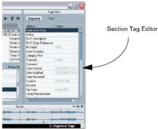STEINBERG Nuendo 4 - Affichez la section Tag Editor. - 1